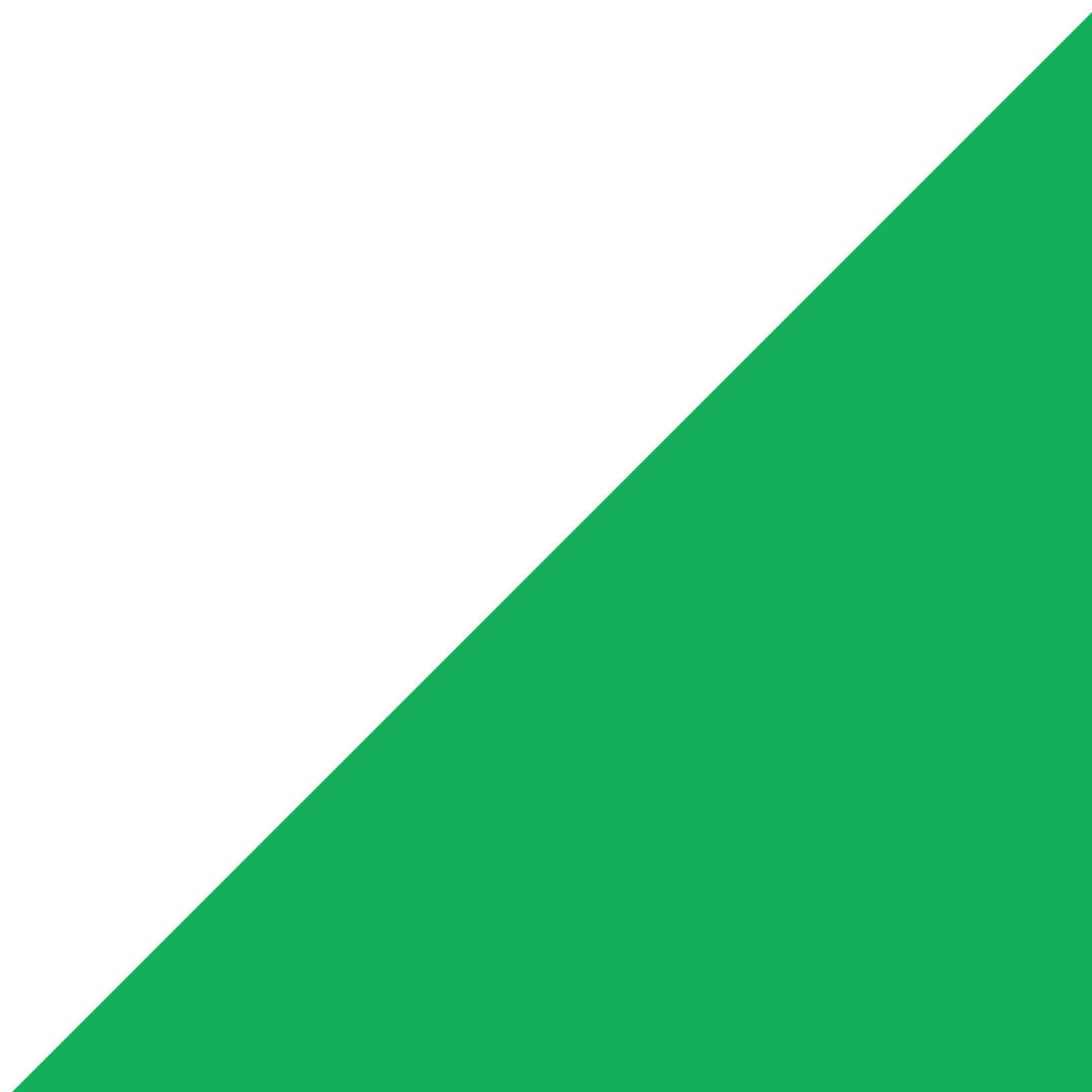 Green & White Gameday