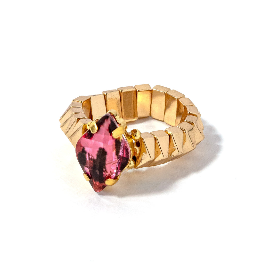 Animal Ring