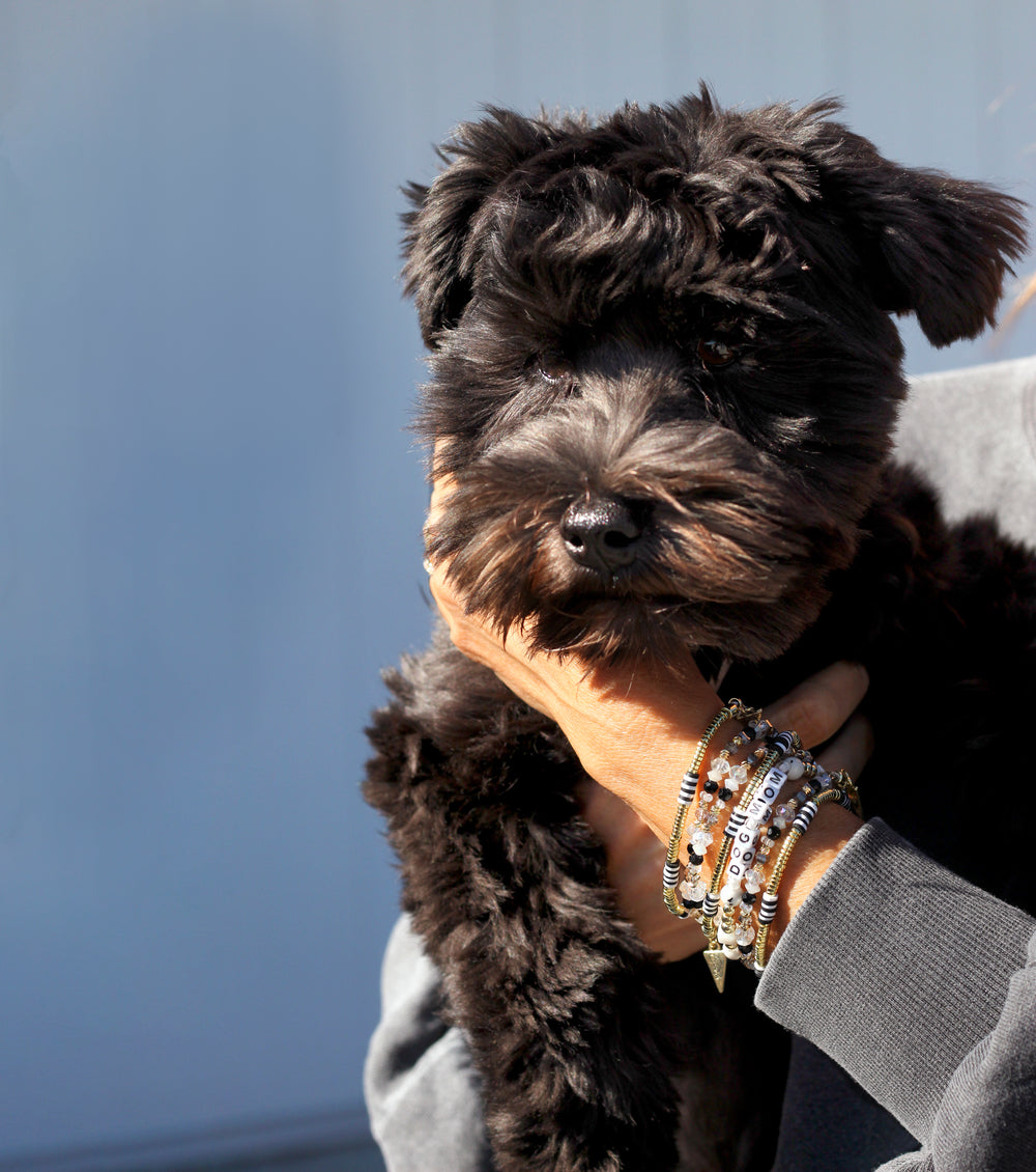 Dog Mom Bracelet - Erimish