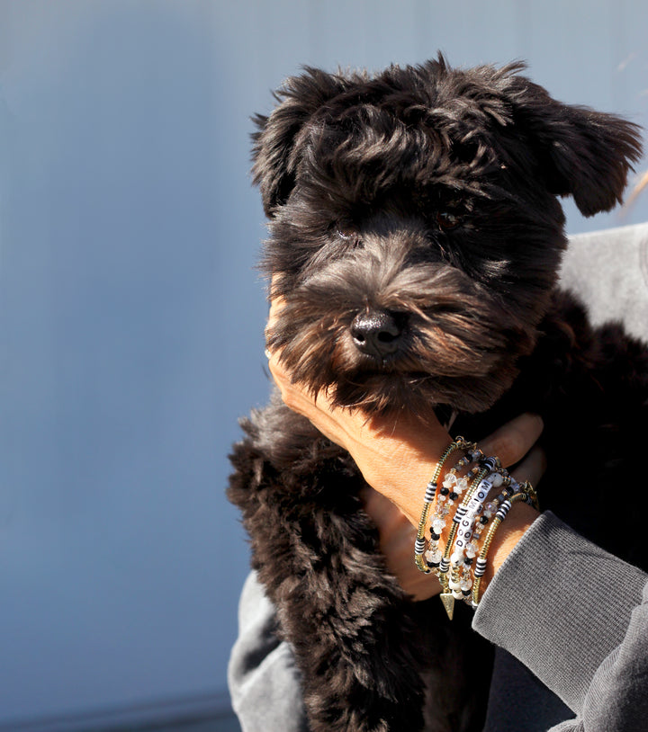 Dog Mom Bracelet