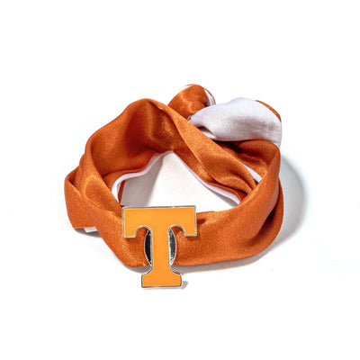University of Tennessee Ribbon Slider Logo
