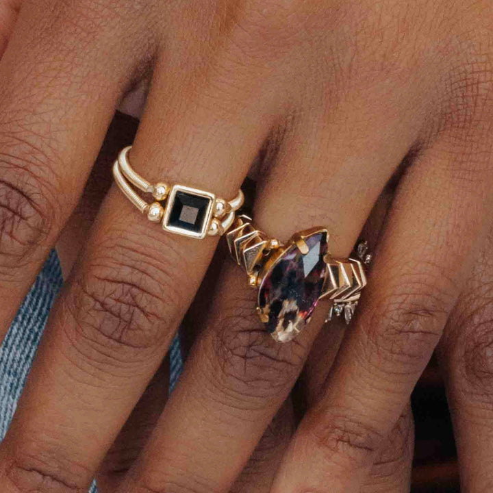 Animal Ring
